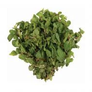 Mint Leaves (Hara Dhania),1pcs