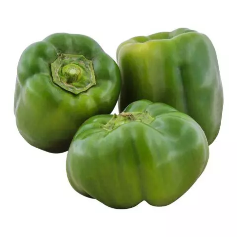 Capsicum Green (Shimlaa), 1KG