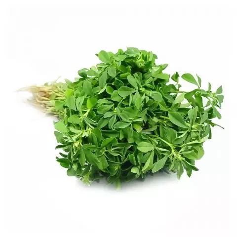 Fresh Meethi (Fenugreek), 1KG