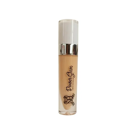 NH Bling Power G/L Concealer Cream, 196