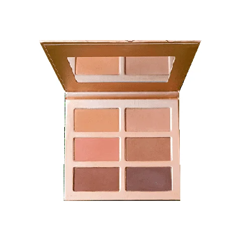 NH Bling Contour Kit 6 Shades, 391