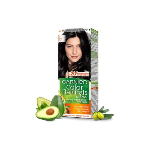 Garnier Color Natural Black, 01